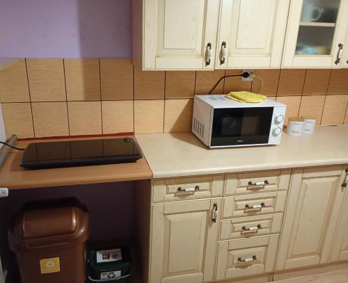 Kuchyň nebo kuchyňský kout v ubytování Apartament między Strumykami