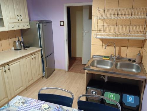 Nhà bếp/bếp nhỏ tại Apartament między Strumykami