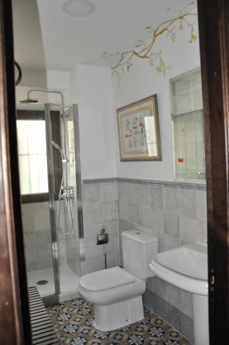 a bathroom with a toilet and a shower and a sink at Casa de las Remigias in Estepona