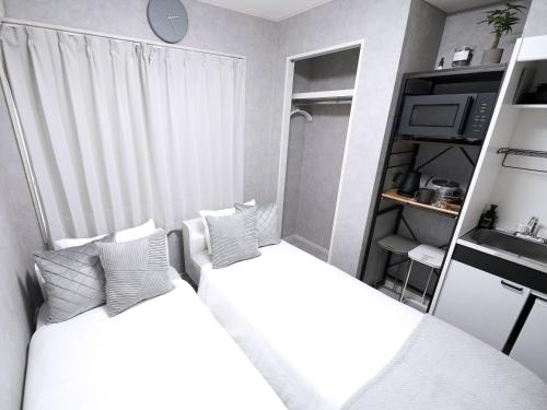 Near Asakusa, Projector, Twin and Semi Double Rooms