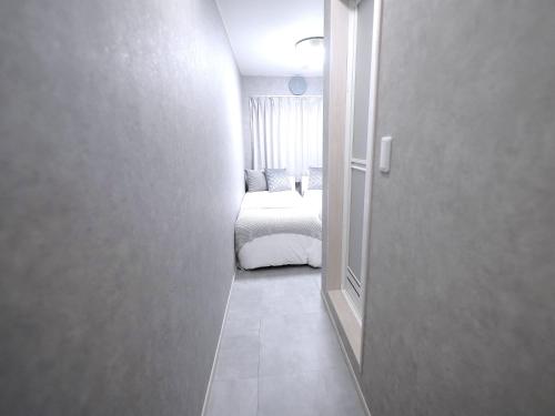 Near Asakusa, Projector, Twin and Semi Double Rooms