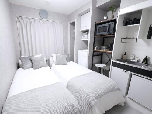 Near Asakusa, Projector, Twin and Semi Double Rooms