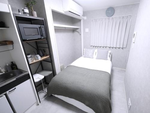 Near Asakusa, Projector, Twin and Semi Double Rooms