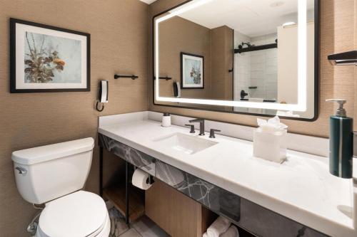 Hilton Minneapolis في مينيابوليس: حمام مزود بمرحاض ومغسلة ومرآة