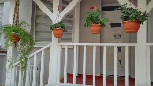 a porch with potted plants on a house at Szlavi Apartman in Baja