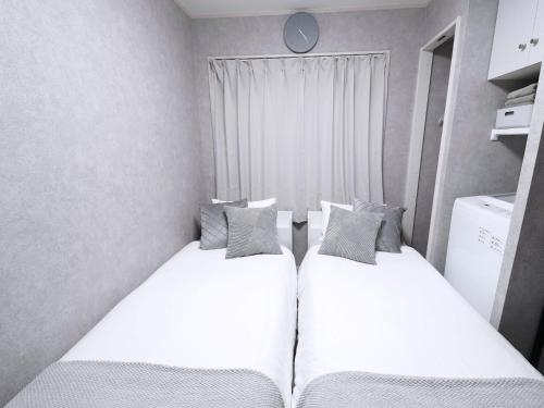 Near Asakusa, Projector, Twin and Semi Double Rooms