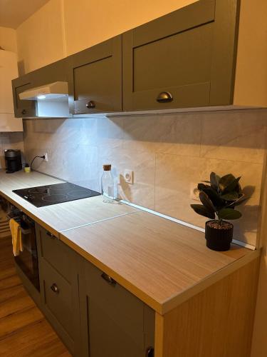 een aanrecht met een potplant erop bij Le Parisien - Cœur de Saint-Brieuc in Saint-Brieuc