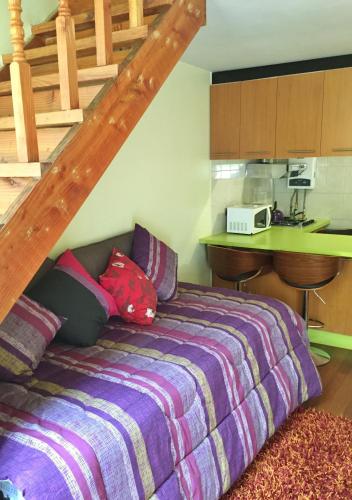 a bedroom with a bed and a counter in a kitchen at Tribu Malen Apartamentos in Temuco