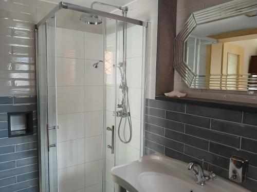 ein Badezimmer mit Dusche, Waschbecken und Spiegel in der Unterkunft Kutscherhaus Werdau in Werdau