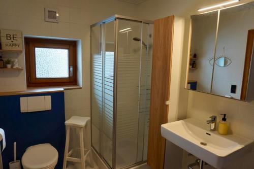 a bathroom with a shower and a toilet and a sink at Bergnest Fieberbrunn in Fieberbrunn