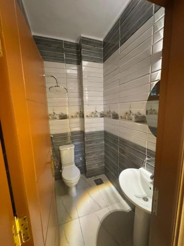 a bathroom with a toilet and a sink at MERIT Guest House in Aswan