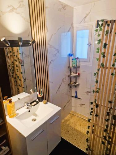 a bathroom with a sink and a shower at Maison TIKI TAHITI in Alès