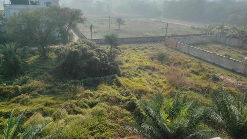 Een tuin van Laxmi Narasimha hotel