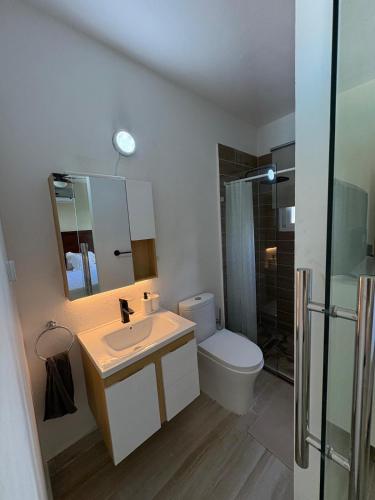 een badkamer met een wastafel, een toilet en een douche bij Boca paraiso in Boca Chica
