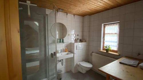 ein Badezimmer mit Dusche, Toilette und Waschbecken in der Unterkunft Ferienhof Heufelder Hof in Wüstensachsen