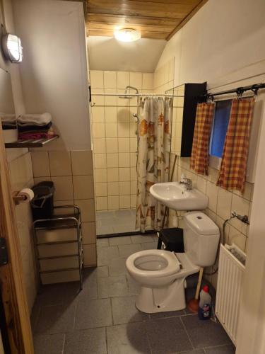 een badkamer met toilet en wastafel bij Hoeve Op Vollenhof in Wezep