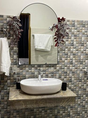 a bathroom with a sink and a mirror at ASNB F1 Luxury Apartment 1BHK in Multan