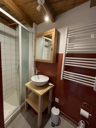 a bathroom with a sink and a shower at Studio duplex hyper centre 4 personnes in Le Lioran
