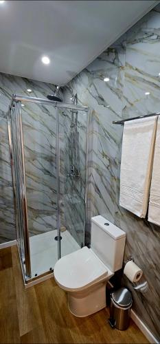 a bathroom with a toilet and a shower at Cabedelo Studio Residence in Viana do Castelo