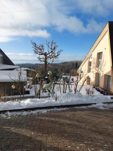 Příroda nedaleko apartmánu