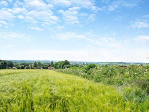 Naturlandskabet i nærheden af feriehuset