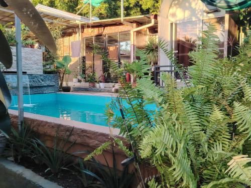 een zwembad in een tuin met planten bij La Casa Josefina in Aga