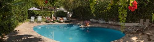 ein Swimmingpool in einem Hof mit Stühlen und Bäumen in der Unterkunft Hotel Internacional in Mendoza