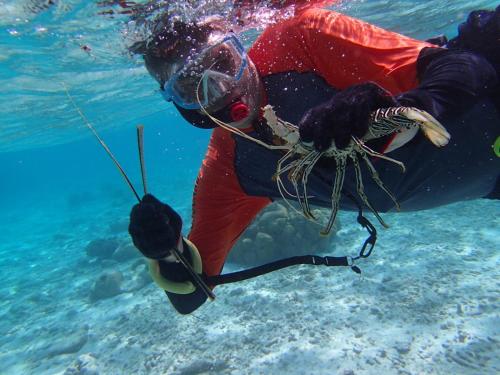 Eine Person im Wasser mit einem Hummer am Stiel in der Unterkunft Dhonveli Inn in Dhaalu Atoll