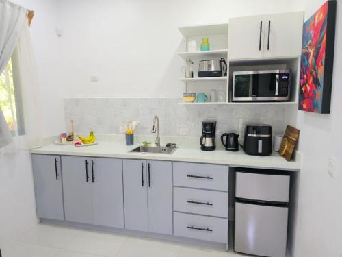 Køkken eller tekøkken på Selvático Costa Rica