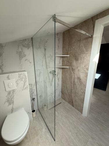 a bathroom with a toilet and a glass shower at Apartments Svetlana, Igalo in Herceg-Novi