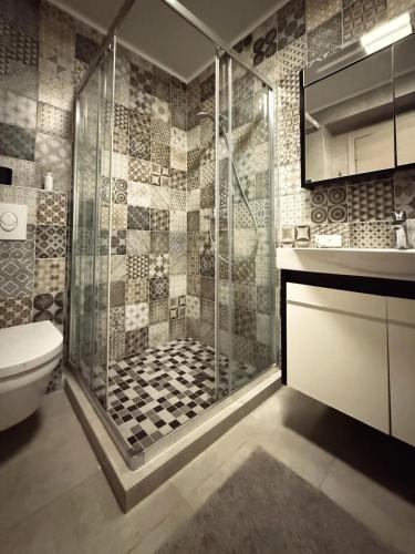 a bathroom with a shower and a toilet at Apartment Zoe in Tivat