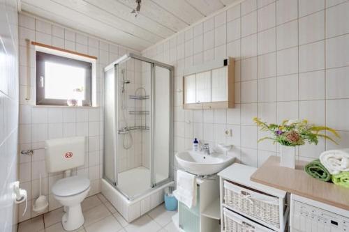 a bathroom with a sink and a toilet and a shower at Ferienwohnung PfalzRide in Annweiler am Trifels