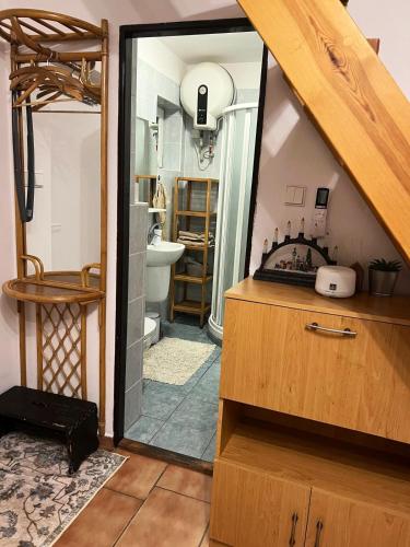 a bathroom with a sink and a toilet in a room at Taneček - malý apartmán u rodinného domu in Stvolínky