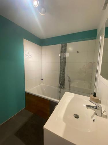 een badkamer met een witte wastafel en een bad bij Appartement rez Terrasse et Jardin in Huy