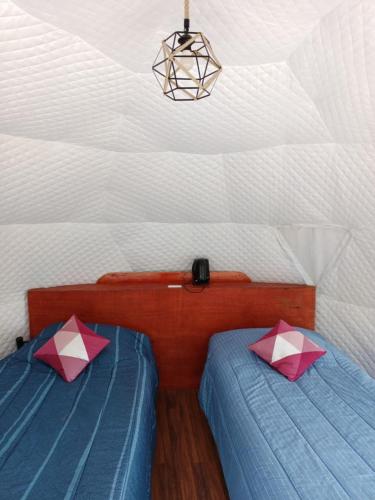 Puerto BertrandDomos Las Lengas Ch的天花板客房内的两张单人床