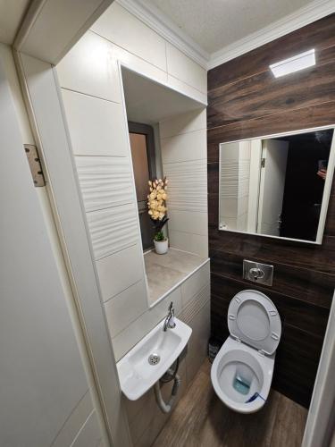 Koupelna v ubytování פאטה מורגנה רויאל - מתחם פרטי עם בריכה פרטית