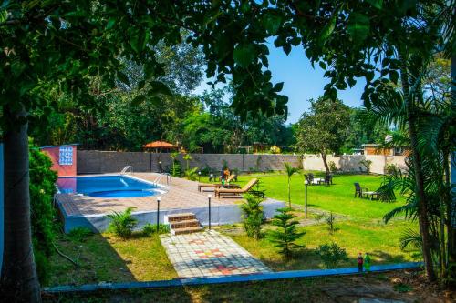 Hồ bơi trong/gần Hotel Jungle Palace Resort