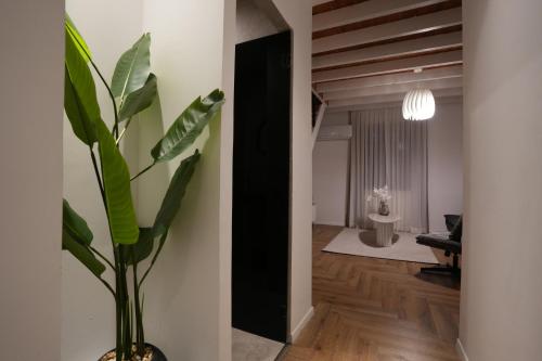 a living room with a plant in a vase at One Apartments TLV in Tel Aviv