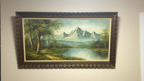 Naturlandskabet i nærheden af pensionatet