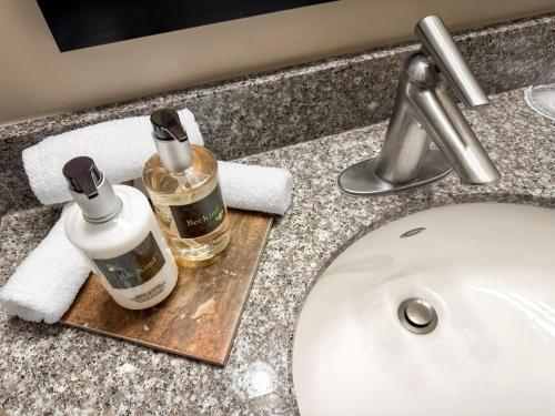 un comptoir de salle de bain avec deux bouteilles de savon et un lavabo dans l'établissement Campus Tower Suite Hotel, à Edmonton