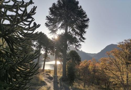 Příroda nedaleko chaty