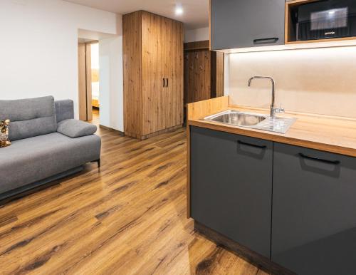 克拉尼斯卡戈拉Podlipnik Apartments的一个带水槽的厨房和一张沙发
