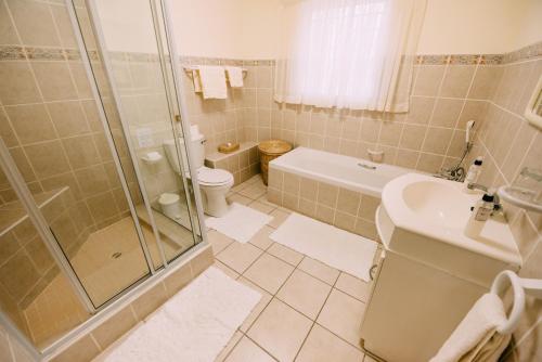 ein Bad mit einer Dusche, einem WC und einem Waschbecken in der Unterkunft Dolphins' Playground Beachfront B&B in Plettenberg Bay