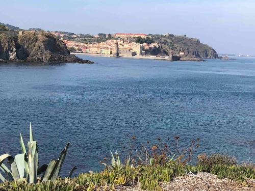 Billede fra billedgalleriet på Pleasant beachfront apartment i Collioure