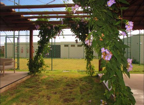 Een tuin van Apartamento na Praia dos Carneiros a 250m do mar