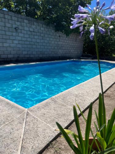 Swimmingpoolen hos eller tæt på Depto 168