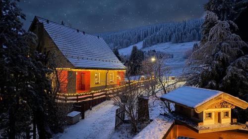 Ferienwohnung-direkt-am-Skihang mit Sauna v zimě