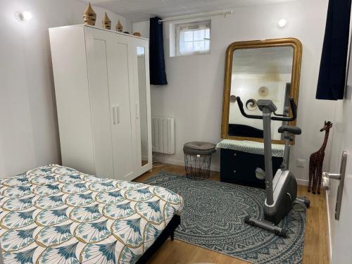 een slaapkamer met een bed, een spiegel en een loopband bij Rez-de-jardin cozy in Houilles
