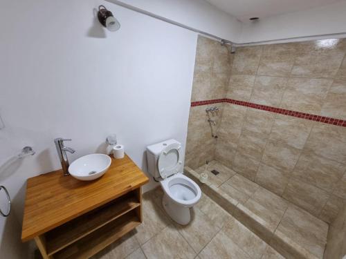 a bathroom with a sink and a toilet and a shower at El Solar in San Antonio Oeste