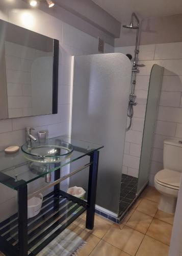 a bathroom with a glass sink and a shower at chez Brigitte et Michel in Les Anses-dʼArlets